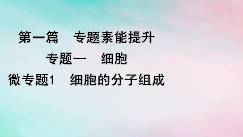 高考生物考前冲刺第1篇专题素能提升专题1细胞微专题1细胞的分子组成