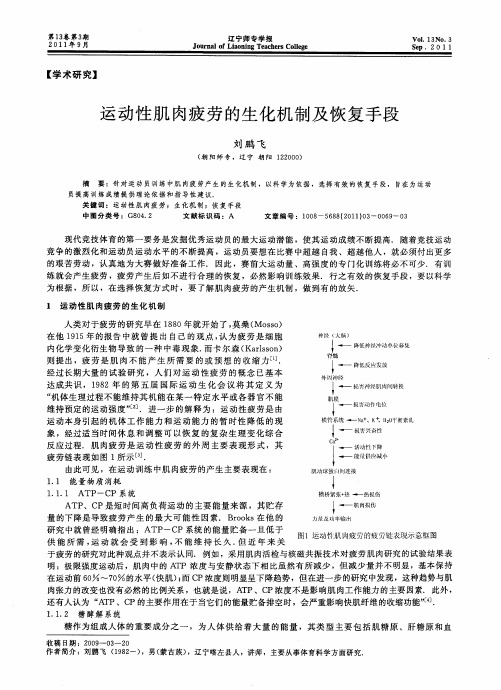 运动性肌肉疲劳的生化机制及恢复手段