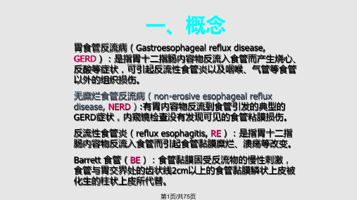 临床医学胃食管反流病PPT课件