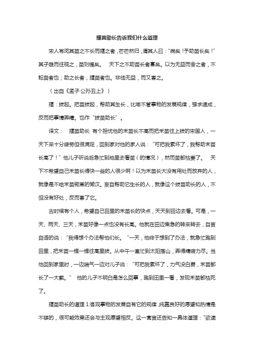 揠苗助长告诉我们什么道理