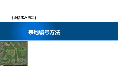 地籍与房产测量：宗地编号方法教学课件 