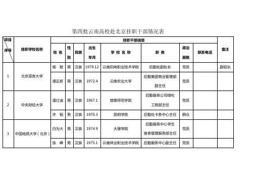 第四批云南高校赴北京挂职干部情况表