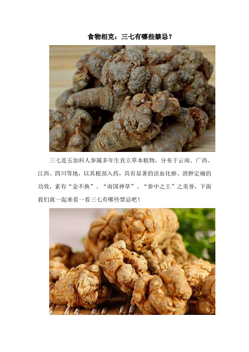 食物相克：三七有哪些禁忌？