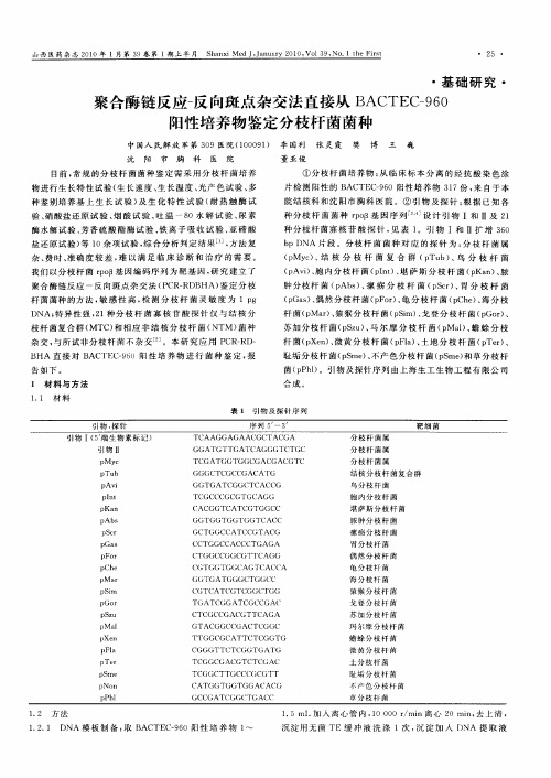 聚合酶链反应-反向斑点杂交法直接从BACTEC-960阳性培养物鉴定分枝杆菌菌种