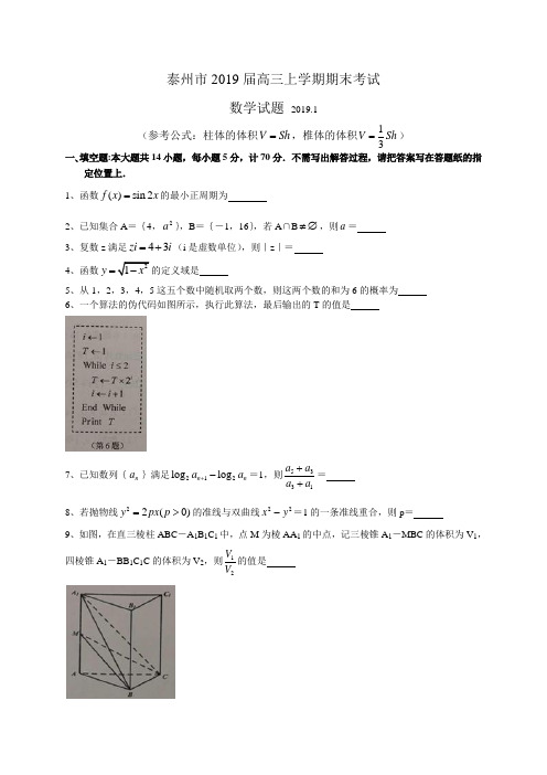 江苏省泰州市2019届高三上学期期末考试数学试题