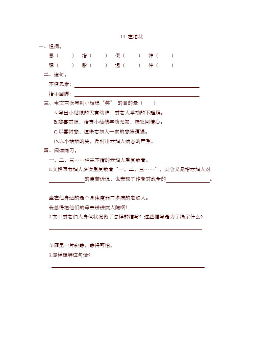 2019秋部编版六年级语文上册14在柏林 一课一练及答案