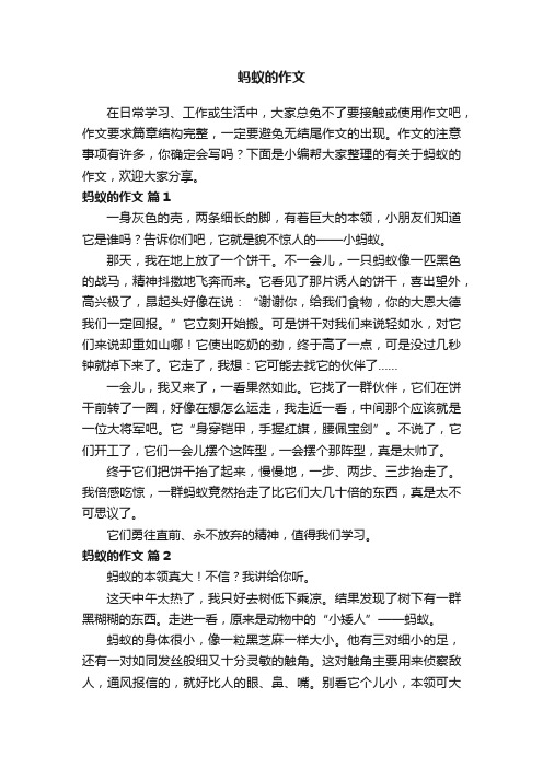 有关于蚂蚁的作文（精选33篇）