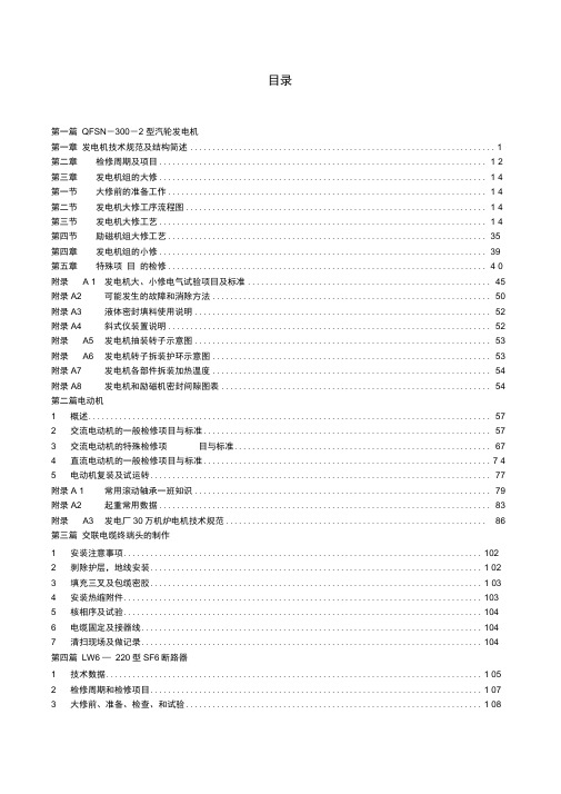 300mw发电机检修工艺规程