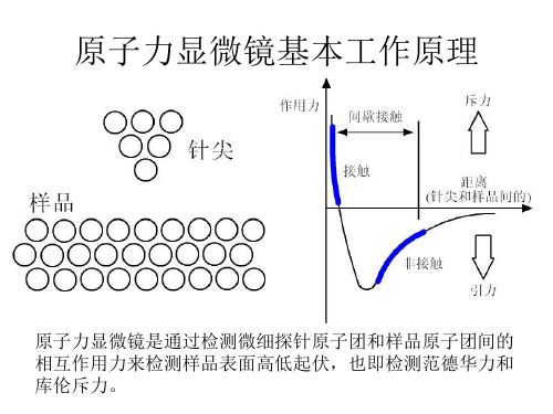 原子力显微镜基本工作原理