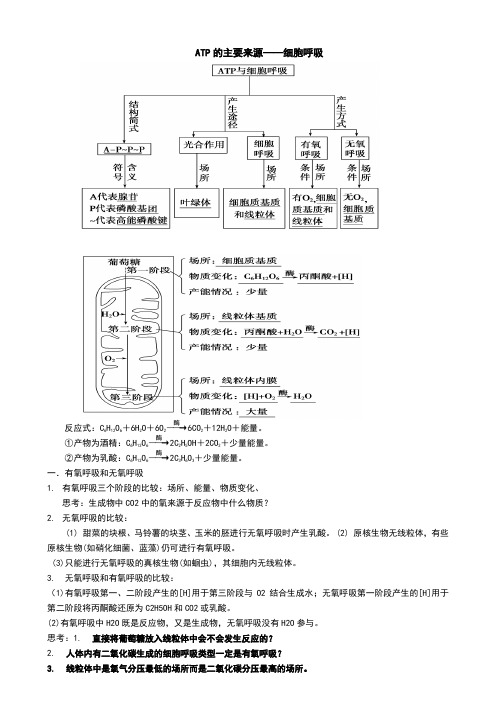 2014届生物一轮复习细胞呼吸