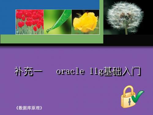 Oracle数据库入门教程