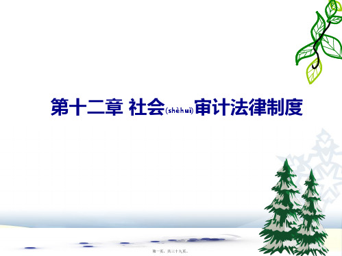 第十二章 社会审计(PPT)