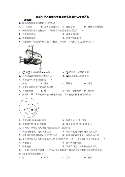 深圳中学人教版八年级上册生物期末试卷及答案