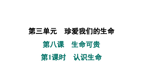 2024年秋部编版七年级道德与法治上册 第八课 生命可贵 第1课时 认识生命(学案课件)