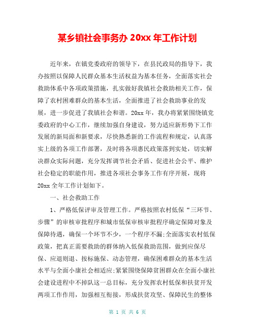 某乡镇社会事务办20xx年工作计划