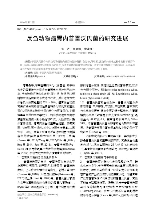 反刍动物瘤胃内普雷沃氏菌的研究进展