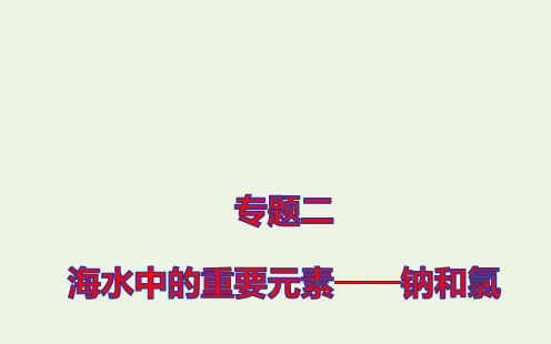 新教材高考化学一轮复习专题二第一节钠及其化合物课件新人教版ppt