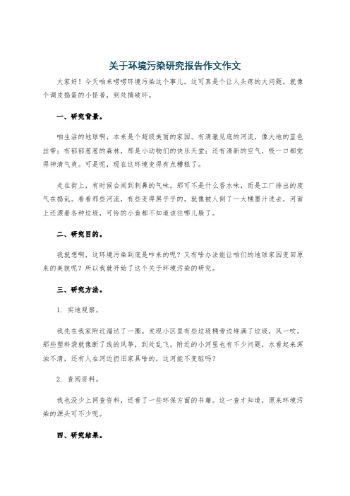 关于环境污染研究报告作文作文