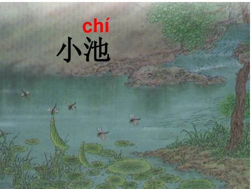 语文一年级下册12.2《小池》名师获奖ppt课件