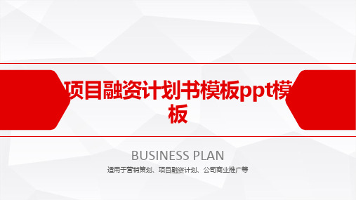项目融资计划书模板ppt模板