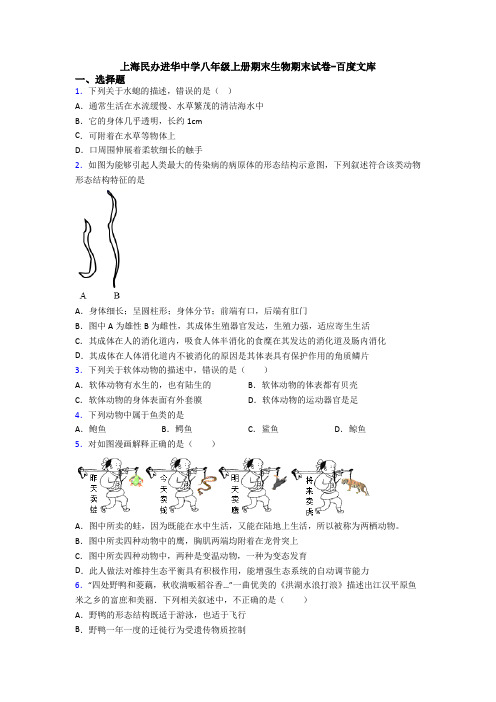 上海民办进华中学八年级上册期末生物期末试卷-百度文库