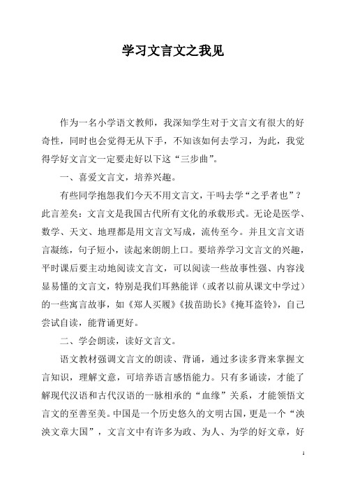 《学习文言文之我见》