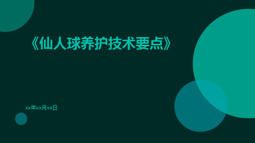 仙人球养护技术要点