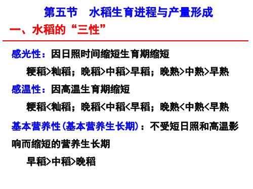 水稻生育进程与产量形成