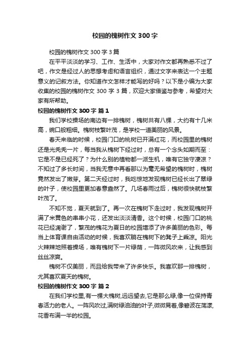 校园的槐树作文300字3篇