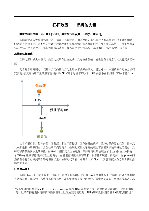 杠杆效应——品牌的力量