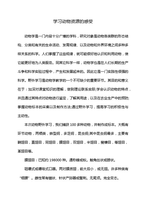 学习动物资源的感受