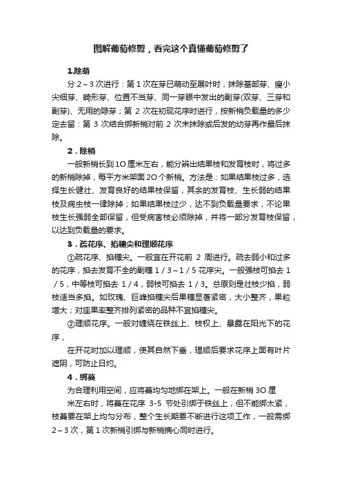 图解葡萄修剪，看完这个真懂葡萄修剪了