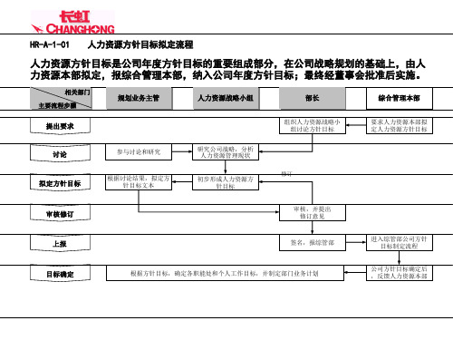 人力资源项目管理流程图