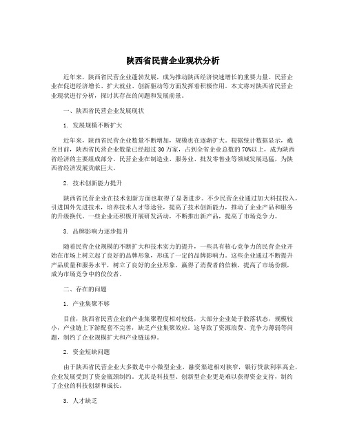 陕西省民营企业现状分析