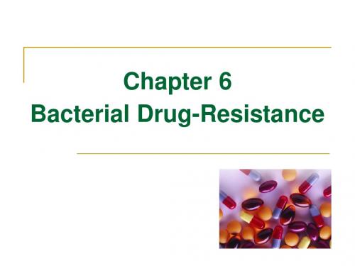 (人卫7版微生物)chapter6 细菌的耐药性