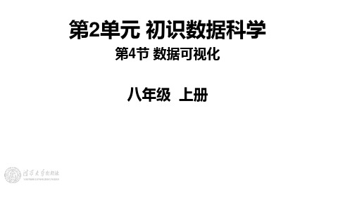 2.4 《数据可视化》1课时 课件 清华大学版(2024)初中信息技术八年级上册