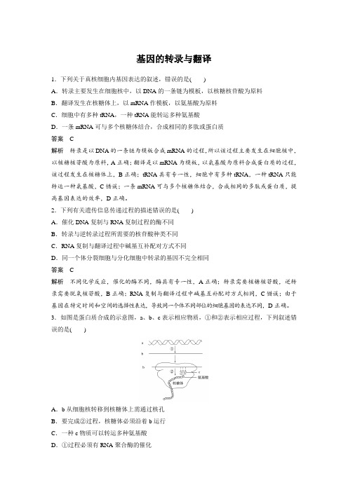 2018届二轮基因的转录与翻译专题卷(适用全国)