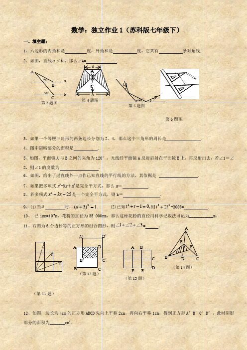 数学：独立作业1(苏科版七年级下)