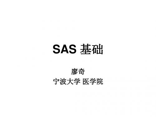 1 第一章 SAS系统简介