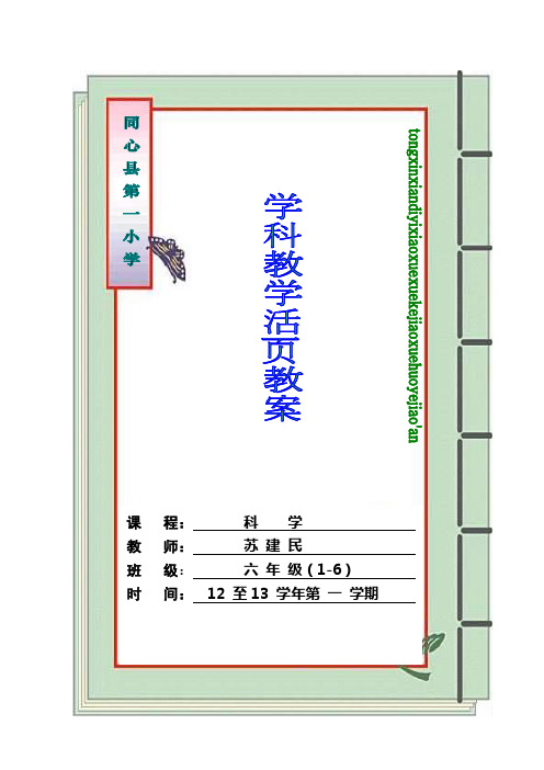 六年级下册活页教案汇总