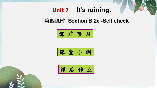 七年级英语下册 Unit 7 It’s raining(第4课时)课件 人教新目标版