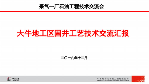 钻井精品资料：采气一厂石油工程技术交流会材料-华北井下固井12.12