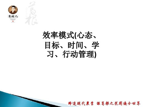 效率模式(心态、目标、时间、学习、行动管理)PPT课件