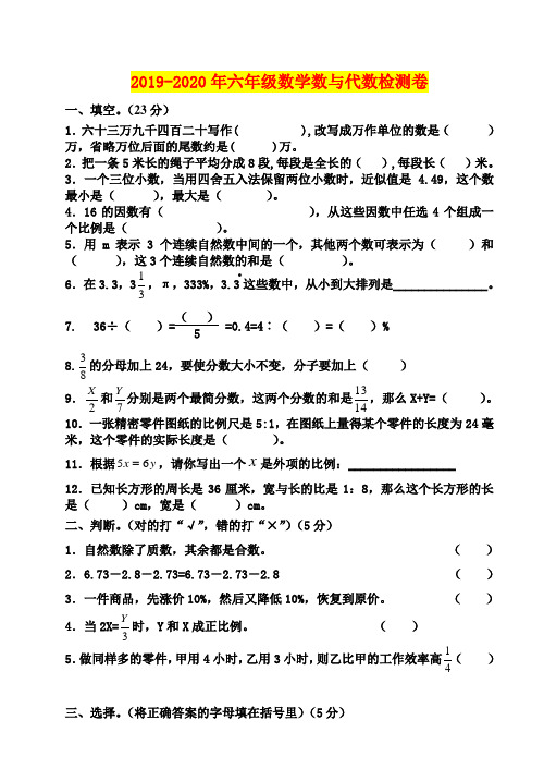 2019-2020年六年级数学数与代数检测卷