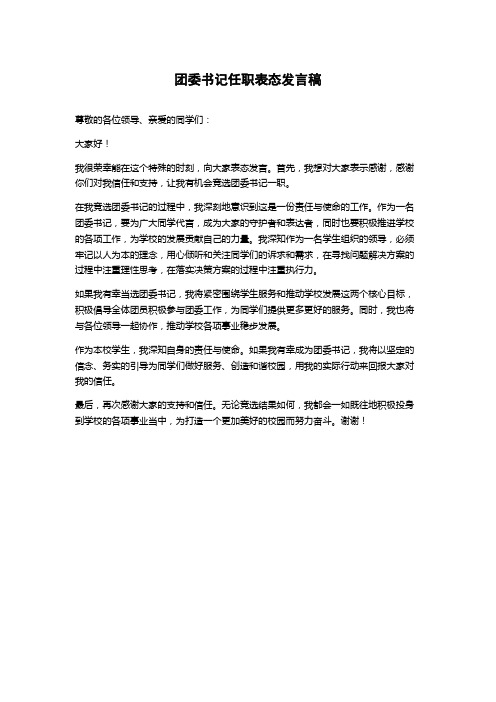 团委书记任职表态发言稿