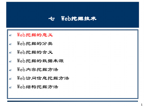 Web挖掘技术精