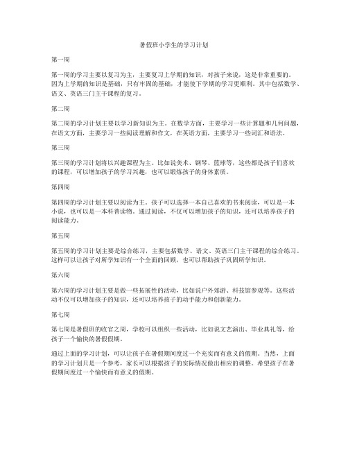 暑假班小学生的学习计划