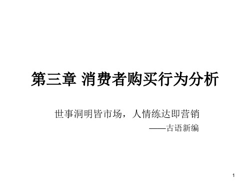 第三章消费者购买行为分析