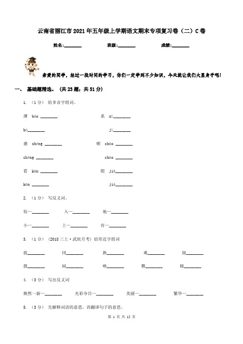 云南省丽江市2021年五年级上学期语文期末专项复习卷(二)C卷