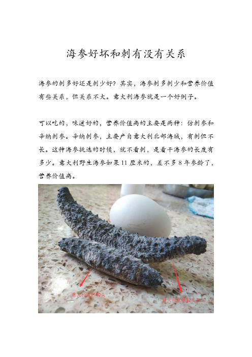 海参好坏和刺有没有关系